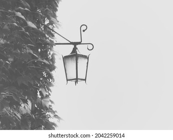 Street Lamp On The Leafy Wall