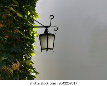 Street Lamp On The Leafy Wall