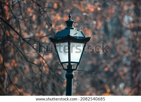 Street lamp in the park in autumn.