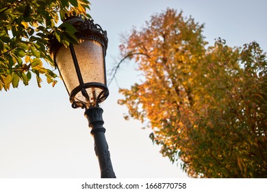 Street Lamp Post Close Up. Morning Autumn Park.