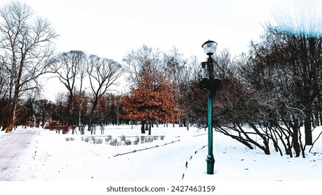 Street lamp post in winter park. White snowy path in forest. Urban scene outdoors. Copy space. Snow on ground and bare trees with orange dry foliage. Soft focus. film grain pixel texture. Defocused. - Powered by Shutterstock