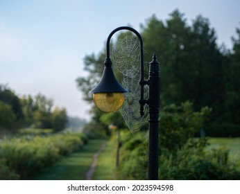 Street lamp with spider webs, path and trees in the background