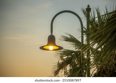 Street Lamp at Sunset Next to a Palm Tree by the Sea - Powered by Shutterstock