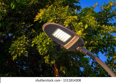 Street LED Lighting In The Garden, Iron Pole.