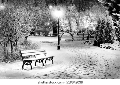 Street Light And A Bench. Snow On Trees In Riga Old Town Park By Night