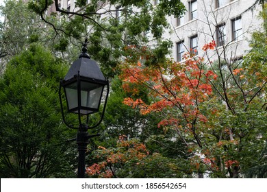 Street Light With Colorful Trees At Washington Square Park In Greenwich Village Of New York City During Fall