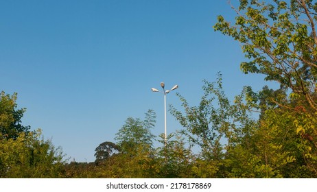 Street Light In Rural Area