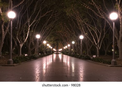 Street Light At Sydney Hyde Park