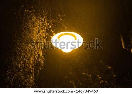 Similar – Image, Stock Photo Winter romance at night