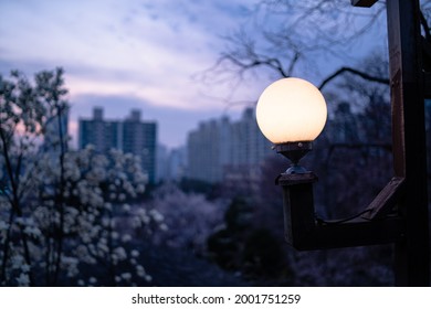 
Street Lights Turned On 30 Minutes Before Sunset