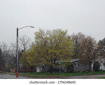 A Street In A Midwest Suburb