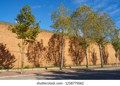 The Street Near Montjuic Cemetery (Cementiri De Montjuïc) In Barcelona At The Sunny Day