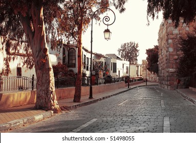 Street In Old Damascus With Trees