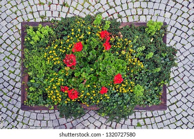 Street Pavement Garden Flower With Green Leaf Photo From Overhead Aerial View