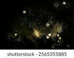 A street photograph of some aerial display fireworks going off down the street from my home in Kissimmee, Florida. You can see the partial Silhouette of tree limbs blocking some of the fireworks.