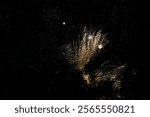 A street photograph of some aerial display fireworks going off down the street from my home in Kissimmee, Florida. You can see the partial Silhouette of tree limbs blocking some of the fireworks.