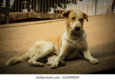 Street Photography Near Jems Princep Ghat