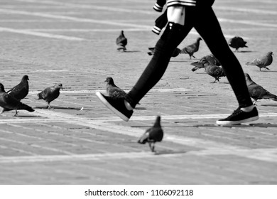 Street Photography  With People And Pigeons