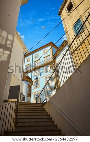 Street of Porto city, Portugal. Stairs between old houses. Sunny summer day. Blue sky with seagulls birds