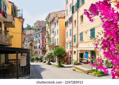 street of Riomaggiore picturesque town of Cinque Terre with flowers, Italy