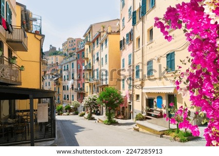 street of Riomaggiore picturesque town of Cinque Terre with flowers, Italy