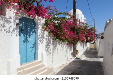 Street Scene With Blue Door And Bougainvillea, Santorini, Greece