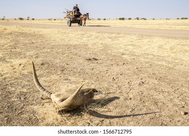 A Street Scene With A Cattle Skull, Sahara Desert, Chad, Africa