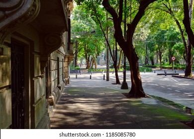 Street Scene At Roma Norte, A Fashionable Neighborhood In Mexico City