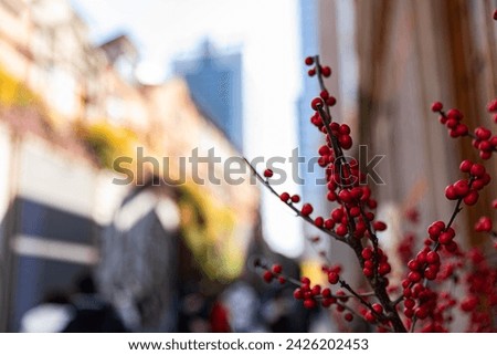 Street scene in Shanghai,China,in the foreground ornamental shrubs with red fruits, in the background people walking on the sidewalk.