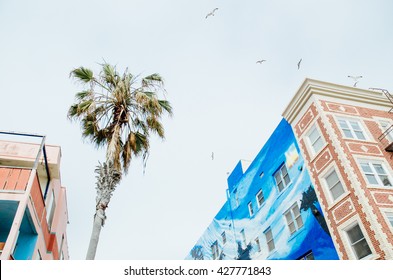 Street Scene From Venice Beach