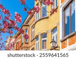 street in Schaerbeek, Brussels, during spring, Belgium