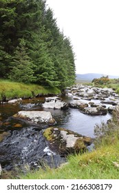 Street And Sheep In Ireland Landscape