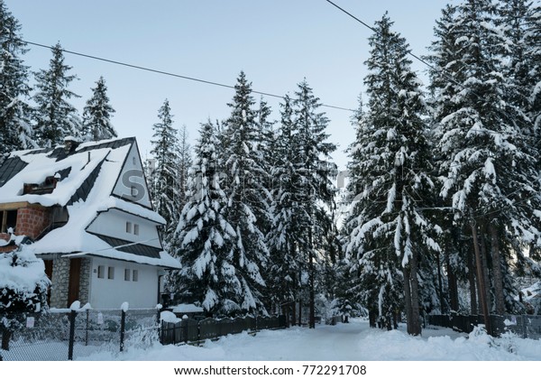 Street with snow,\
trees and houses\
landscape