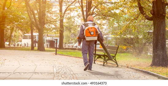 Street sweeper collects leaves from the fan motor, Cleaning the streets of leaves