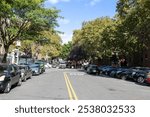 A street through the projects in Brooklyn. 