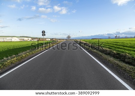street with trees in Thuringia, Germany in rural landscape