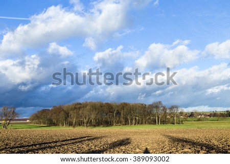 street with trees in Thuringia, Germany in rural landscape