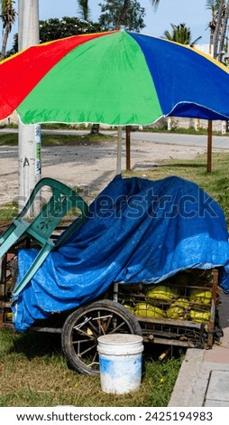Street view of colorful sun parasol umbrella with a wooden handcart full of drinking coconuts being shaded from the hot sun in the capital city of Dili, Timor-Leste in Southeast Asia