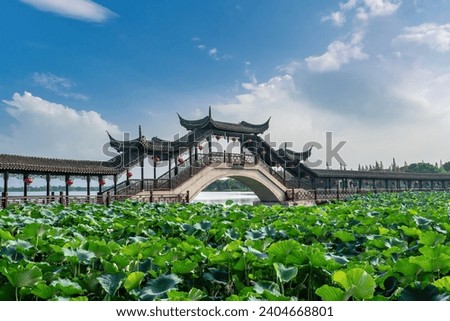 Street View of Jinxi Ancient Town in Jiangnan Water Township

