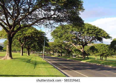 A Street View Of The Residential Community. Kapolei, Oahu, Hawaii, USA