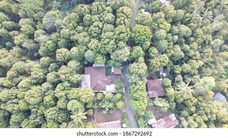 Street view using a drone 