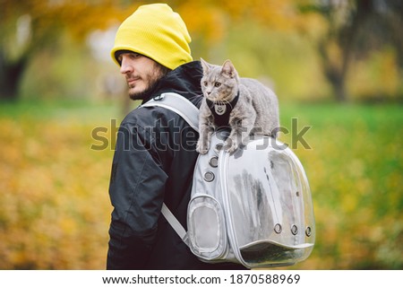 Street walk autumn,adult Caucasian man wearing dark jacket bright yellow hat and his trained domestic gray funny cat,male,looks with interest.The topic of using cat leash and pet backpack carrier bag.
