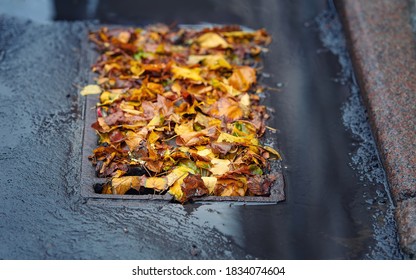 Street Water Drain Blocked With Leaves. Debris Blocks Rainwater Runoff, Clogged Sewer  Flooding Across Road After Rain. Leafs Clogs Water Drainage. Autumn Foliage Clogged Storm Drain, Sewer