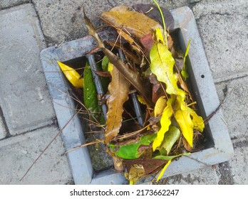 Street Water Drain Blocked With Leaves