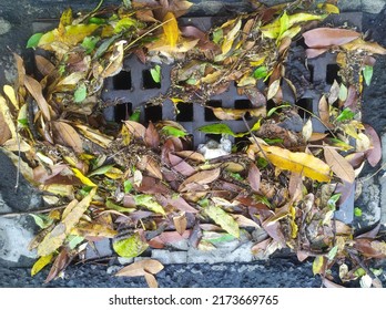 Street Water Drain Blocked With Leaves. Debris Blocks Rainwater Runoff, Clogged Sewer Flooding Across Road After Rain. Leafs Clogs Water Drainage. Autumn Foliage Clogged Storm Drain, Sewer