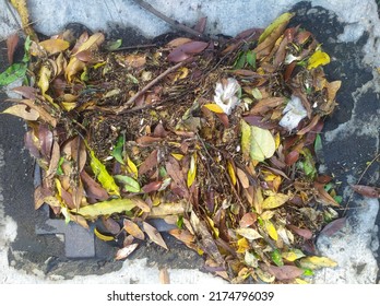 Street Water Drain Blocked With Leaves. Debris Blocks Rainwater Runoff, Clogged Sewer Flooding Across Road After Rain. Leafs Clogs Water Drainage. Autumn Foliage Clogged Storm Drain, Sewer
