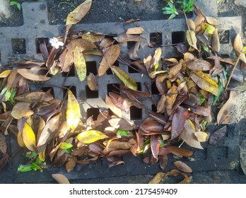 Street Water Drain Blocked With Leaves. Debris Blocks Rainwater Runoff, 