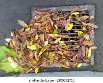 Street Water Drain Blocked With Leaves. Debris Blocks Rainwater Runoff, 