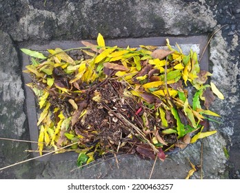 Street Water Drain Blocked With Leaves. Debris Blocks Rainwater Runoff, 