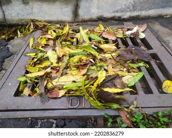 Street Water Drain Blocked With Leaves. Debris Blocks Rainwater Runoff